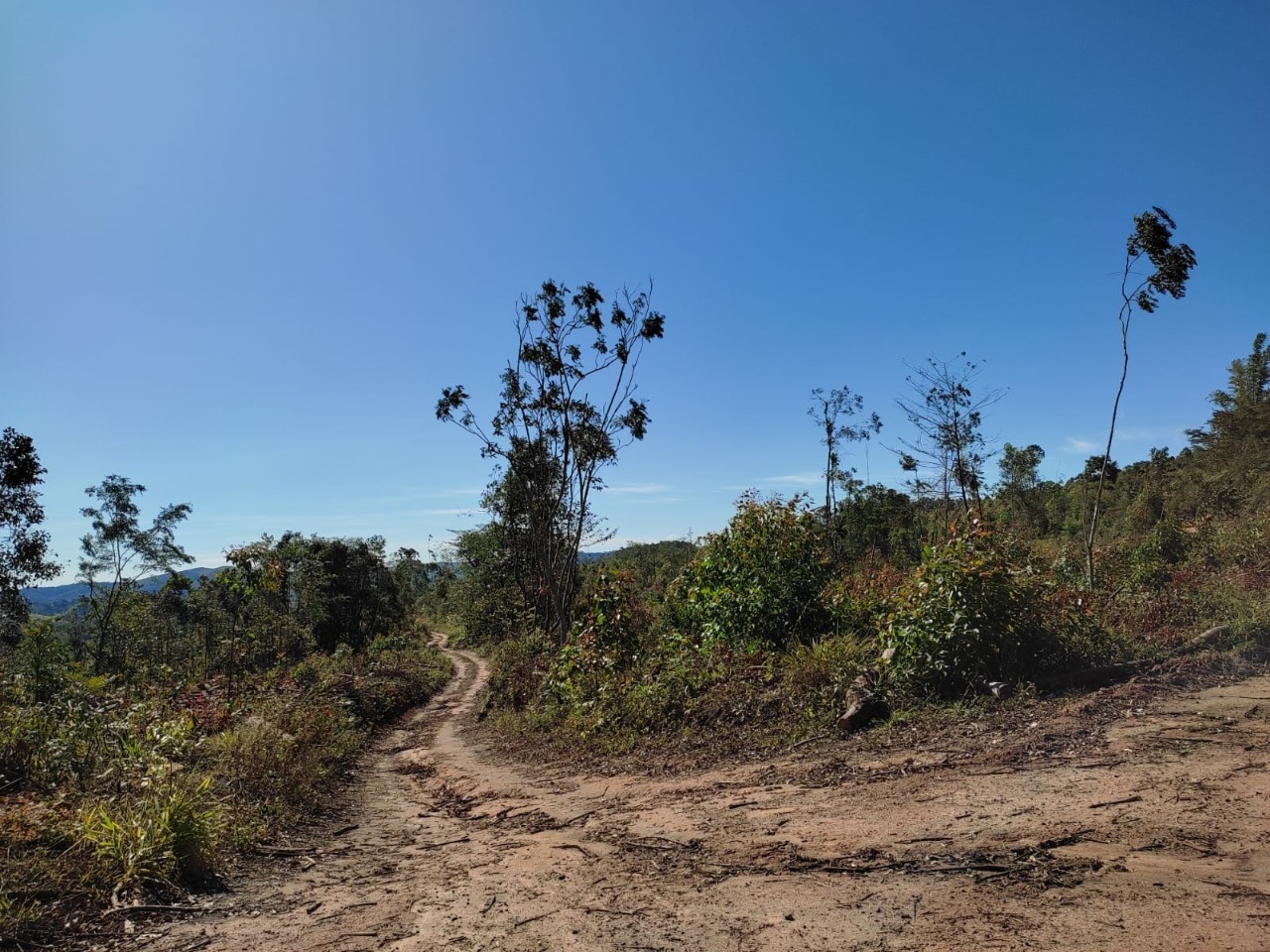 Terreno à venda, 1200m² - Foto 1