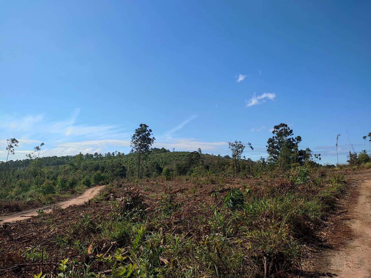 Terreno à venda, 1200m² - Foto 3