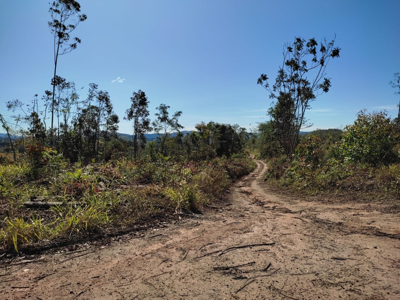 Terreno à venda, 1200m² - Foto 4