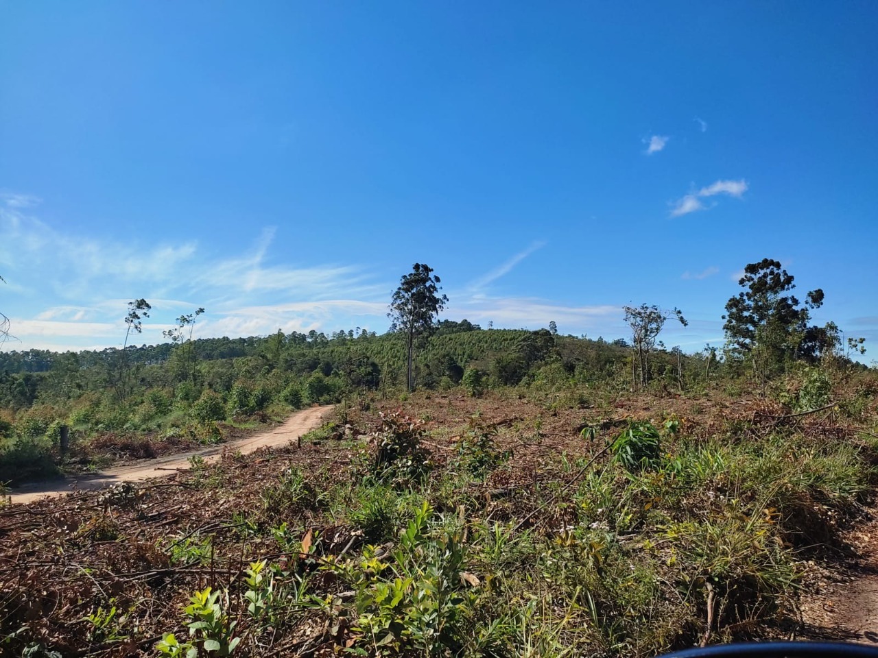 Terreno à venda, 1200m² - Foto 5