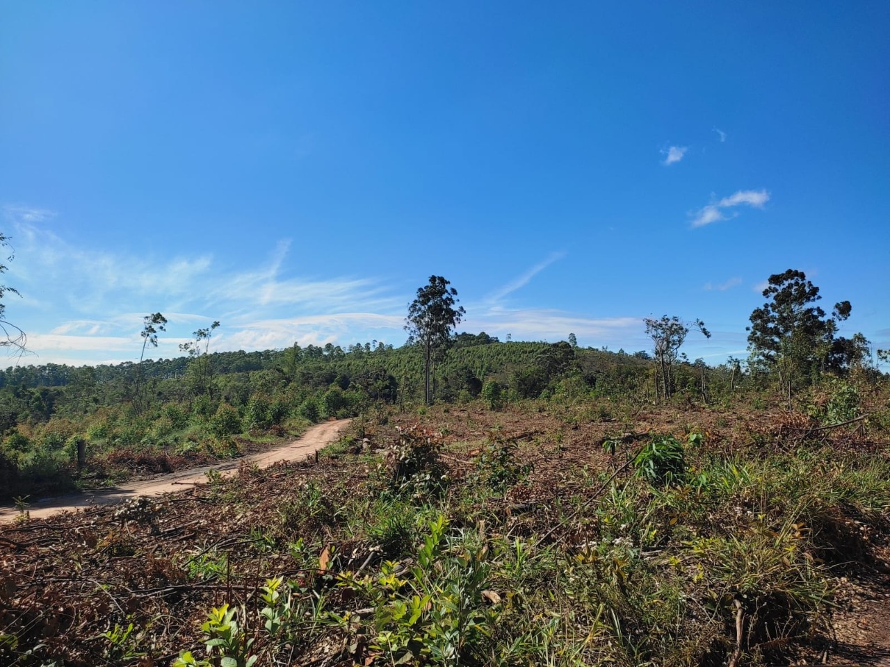 Terreno à venda, 1200m² - Foto 7