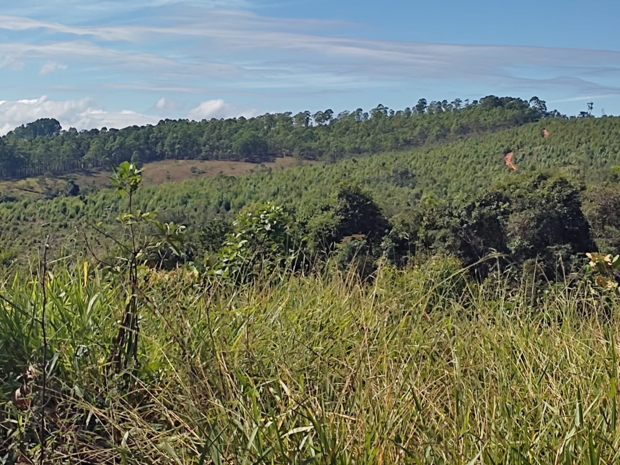 Terreno à venda, 1200m² - Foto 9