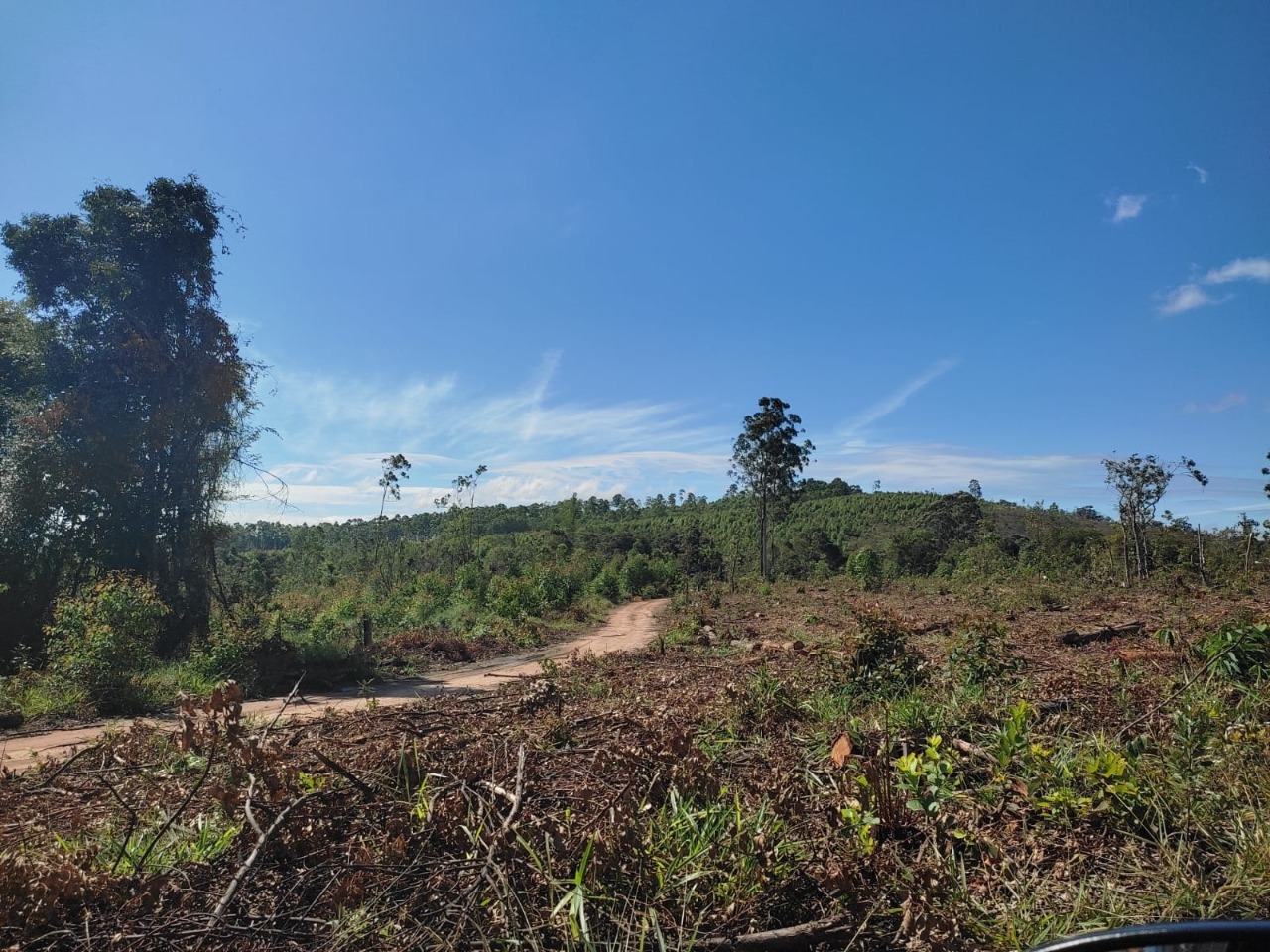 Terreno à venda, 1200m² - Foto 12