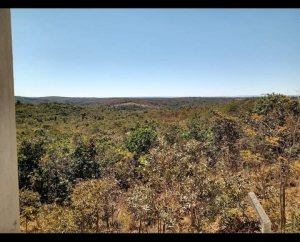 Terreno à venda, 1000m² - Foto 6