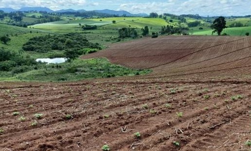 Chácara à venda com 3 quartos, 331500m² - Foto 7