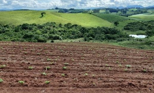 Chácara à venda com 3 quartos, 331500m² - Foto 8