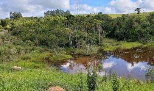 Chácara à venda com 3 quartos, 331500m² - Foto 25