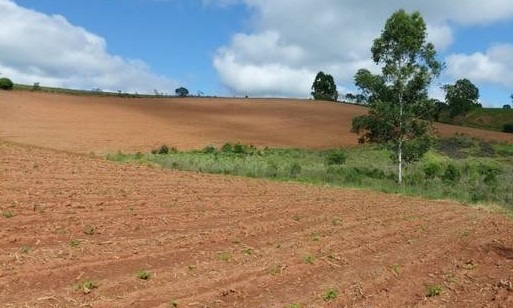 Chácara à venda com 3 quartos, 331500m² - Foto 4