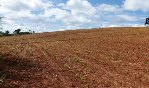 Chácara à venda com 3 quartos, 331500m² - Foto 3