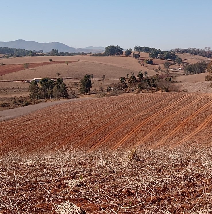 Chácara à venda com 3 quartos, 331500m² - Foto 5