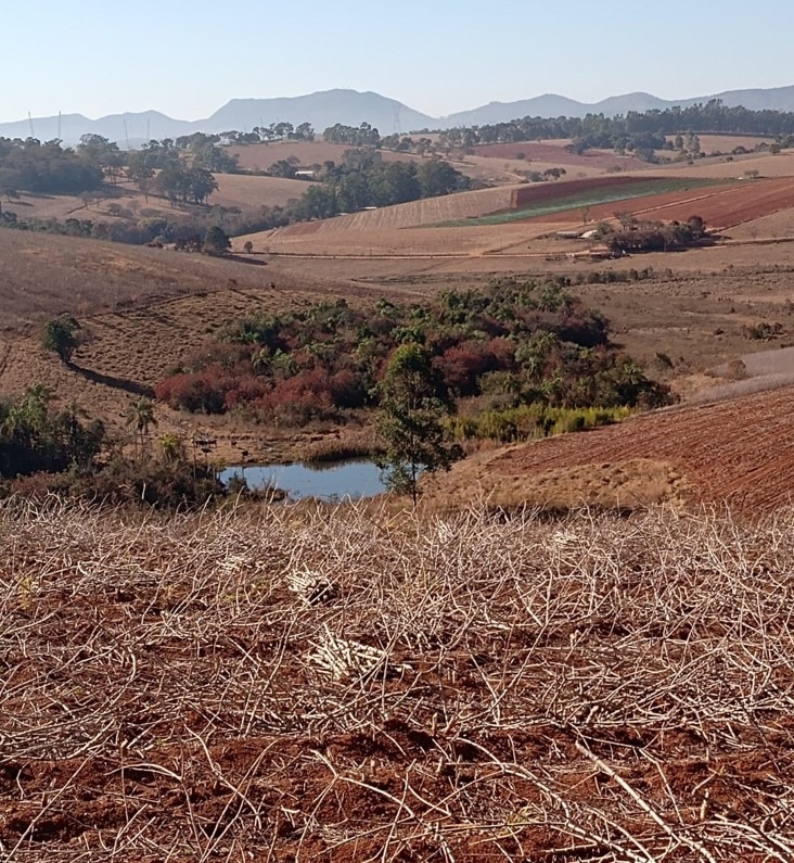 Chácara à venda com 3 quartos, 331500m² - Foto 6