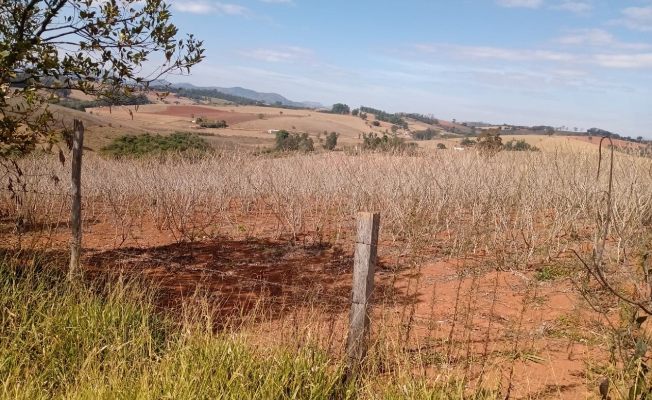 Chácara à venda com 3 quartos, 331500m² - Foto 13