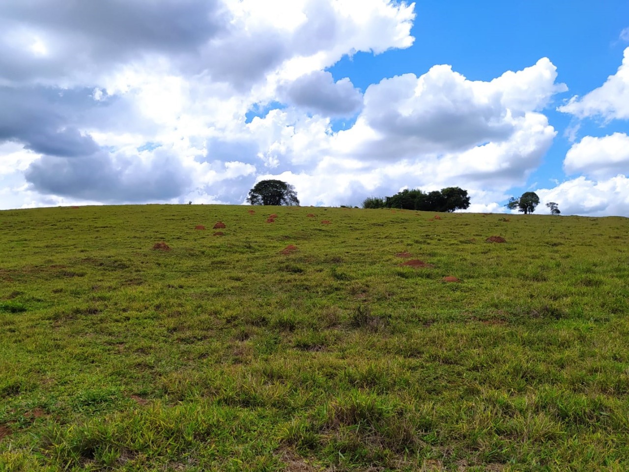 Chácara à venda com 1 quarto, 411400m² - Foto 2