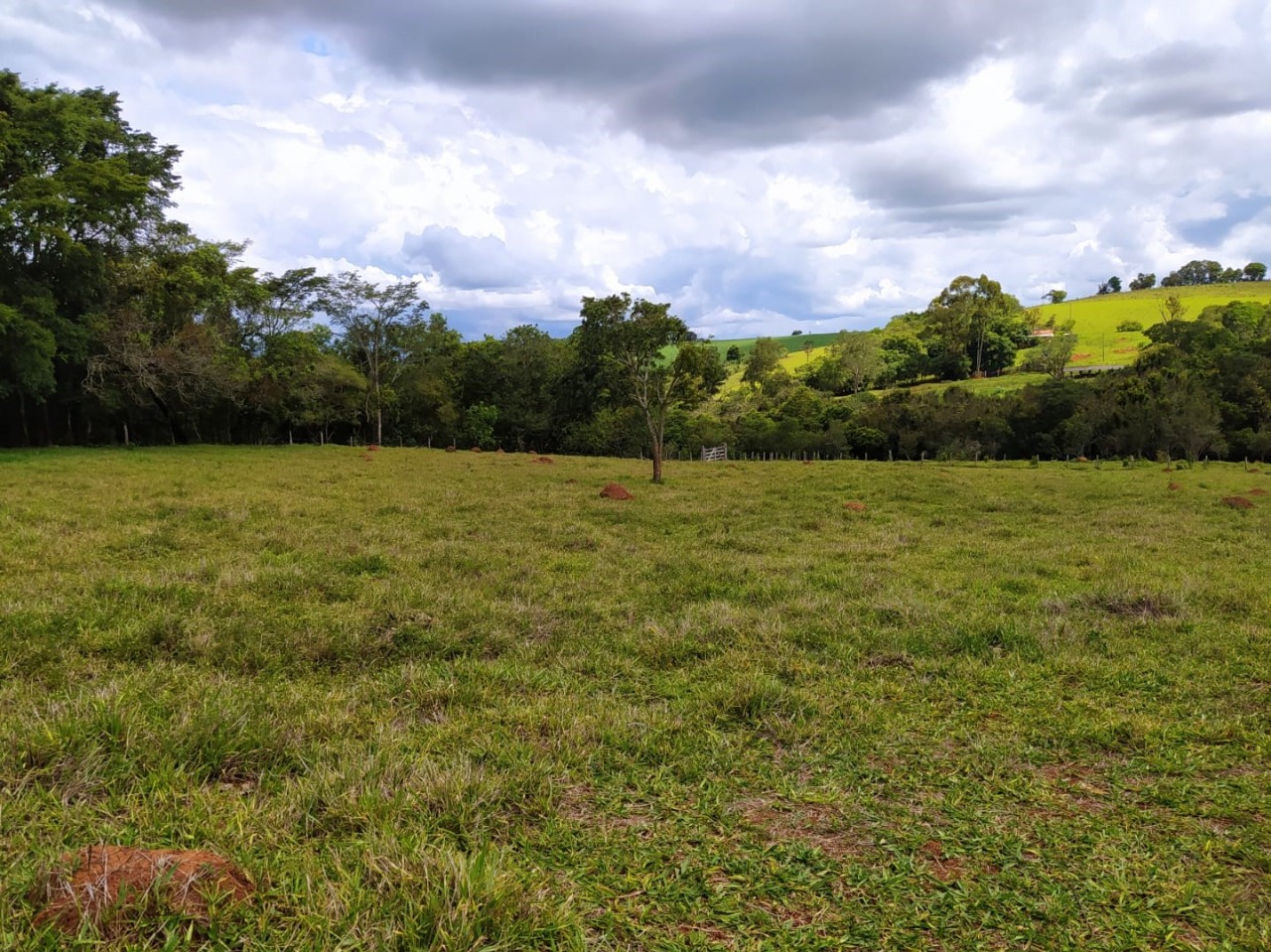 Chácara à venda com 1 quarto, 411400m² - Foto 5