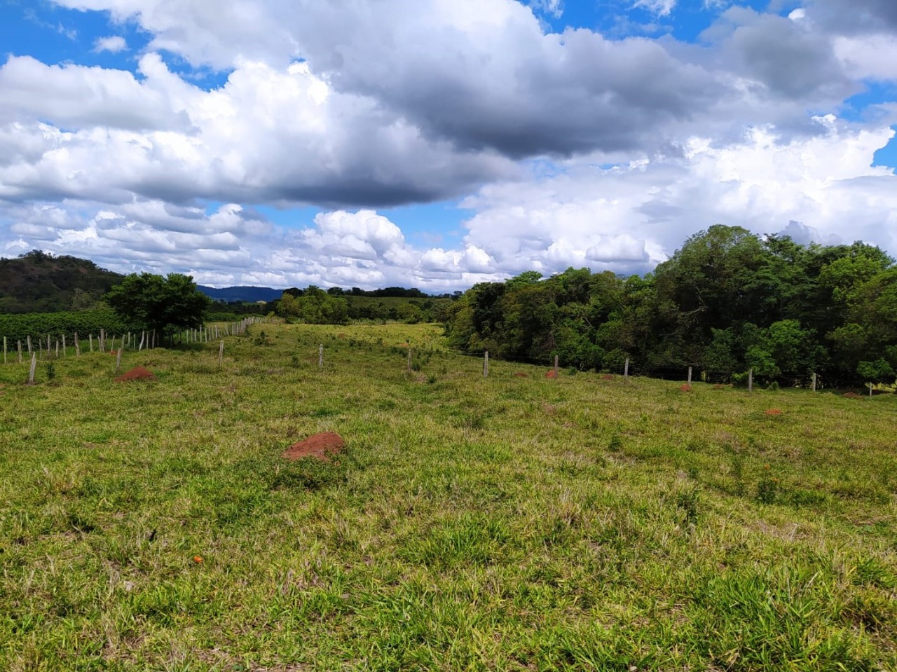 Chácara à venda com 1 quarto, 411400m² - Foto 9