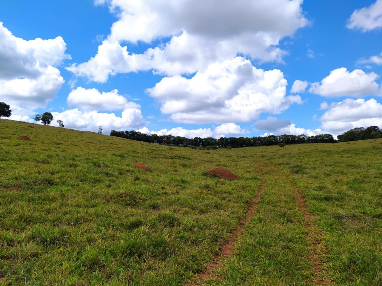 Chácara à venda com 1 quarto, 411400m² - Foto 11