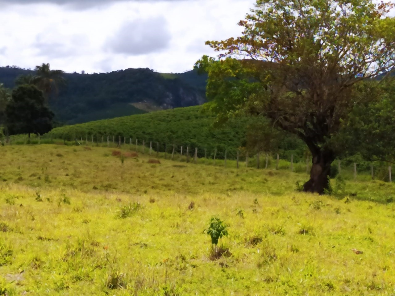 Chácara à venda com 1 quarto, 411400m² - Foto 13