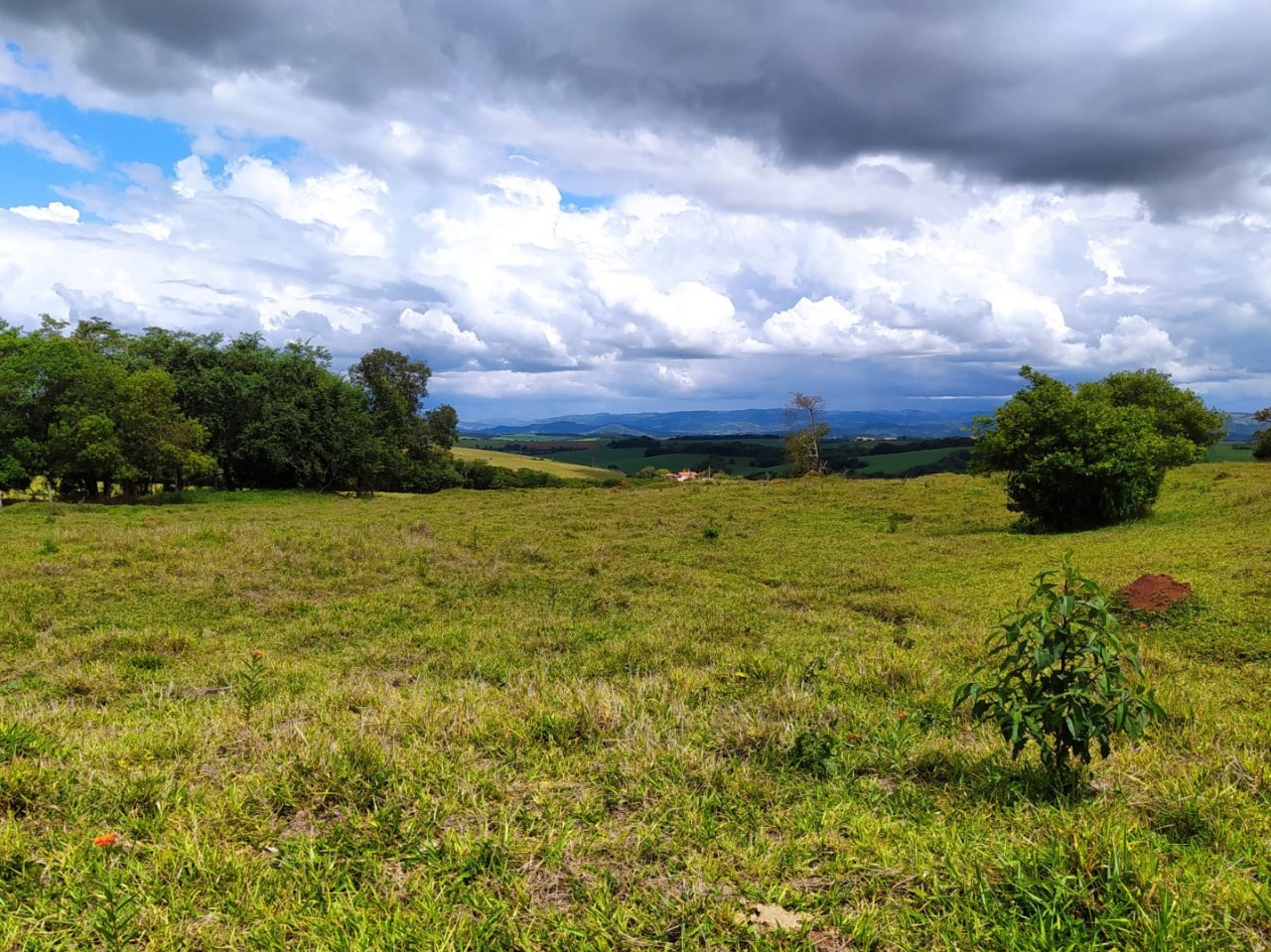 Chácara à venda com 1 quarto, 411400m² - Foto 15