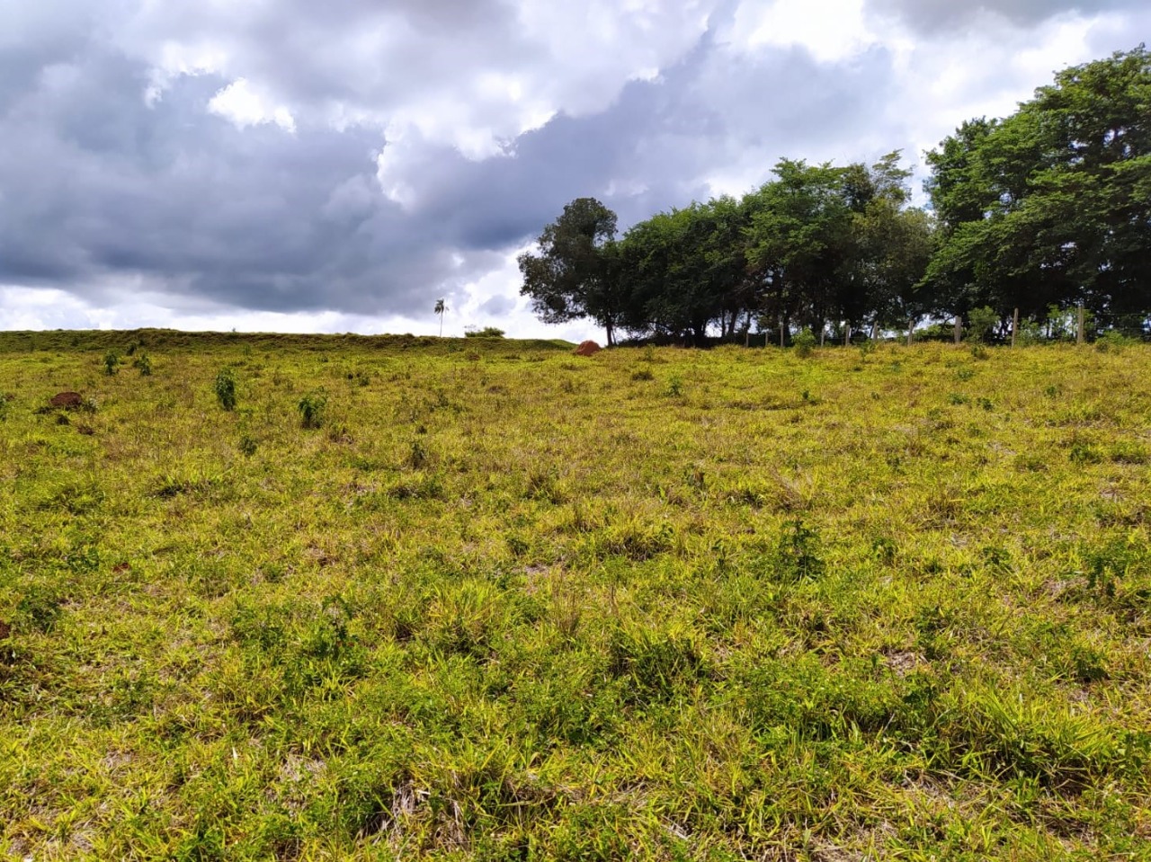 Chácara à venda com 1 quarto, 411400m² - Foto 20