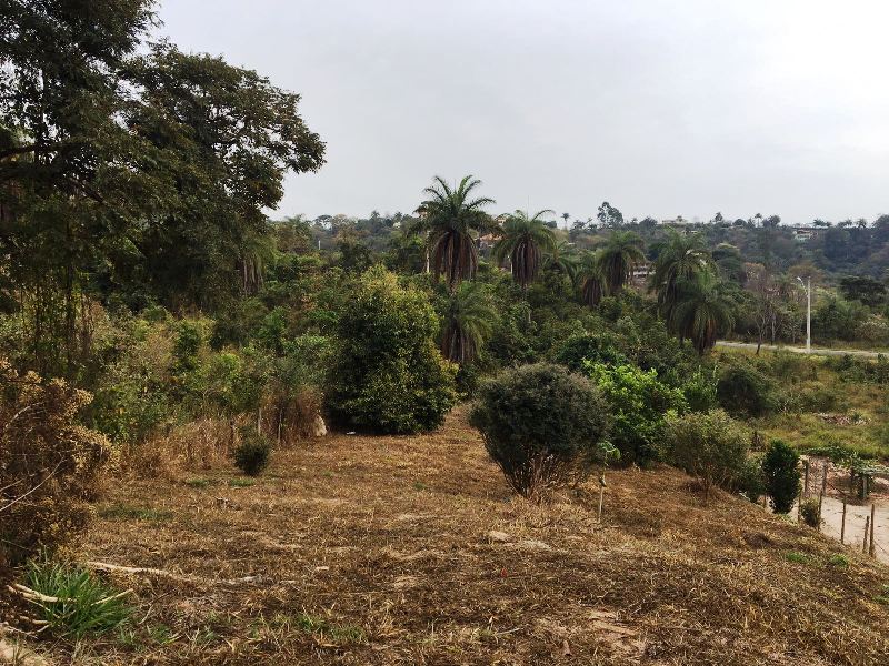 Terreno à venda, 1200m² - Foto 3