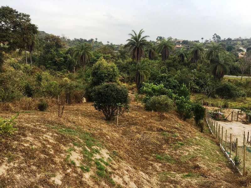 Terreno à venda, 1200m² - Foto 4