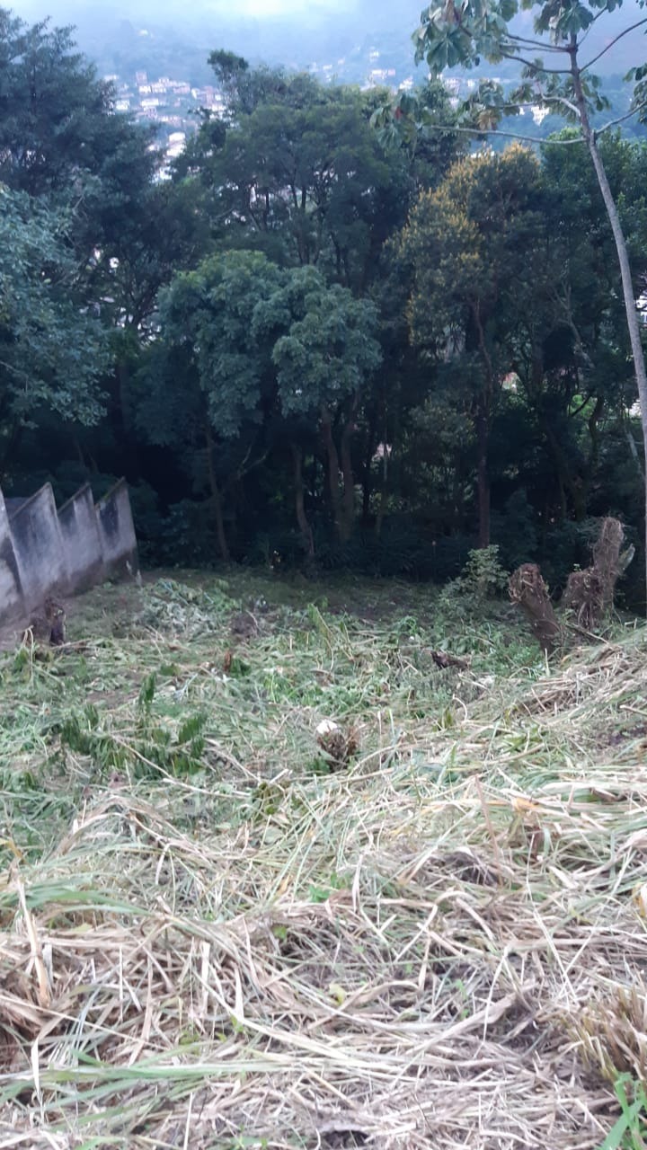 Terreno à venda, 600m² - Foto 2