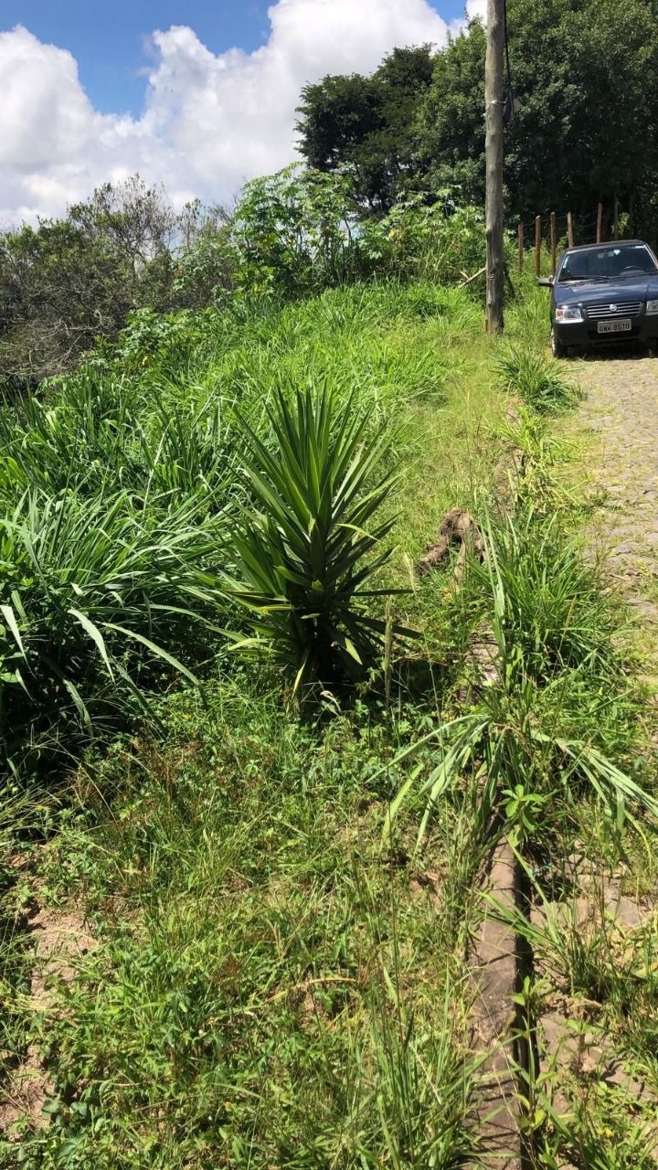 Terreno à venda, 600m² - Foto 3