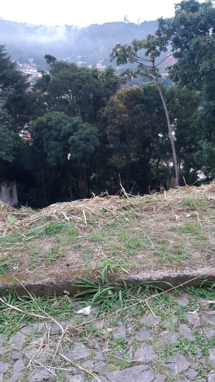 Terreno à venda, 600m² - Foto 4