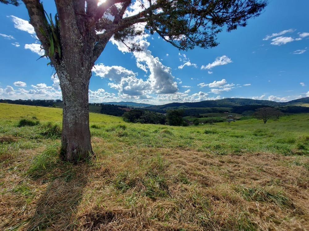 Chácara à venda com 1 quarto, 1450000m² - Foto 5