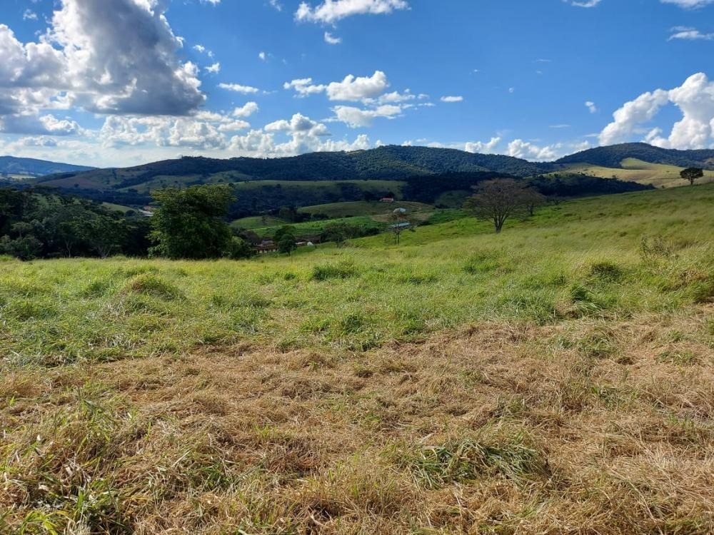 Chácara à venda com 1 quarto, 1450000m² - Foto 10