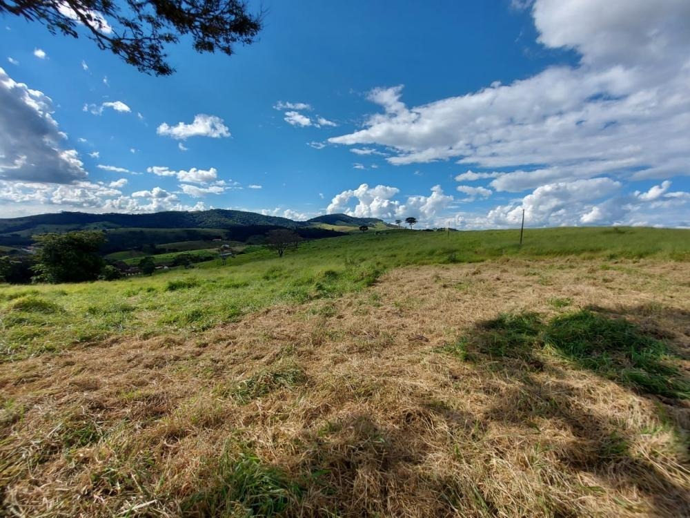 Chácara à venda com 1 quarto, 1450000m² - Foto 12