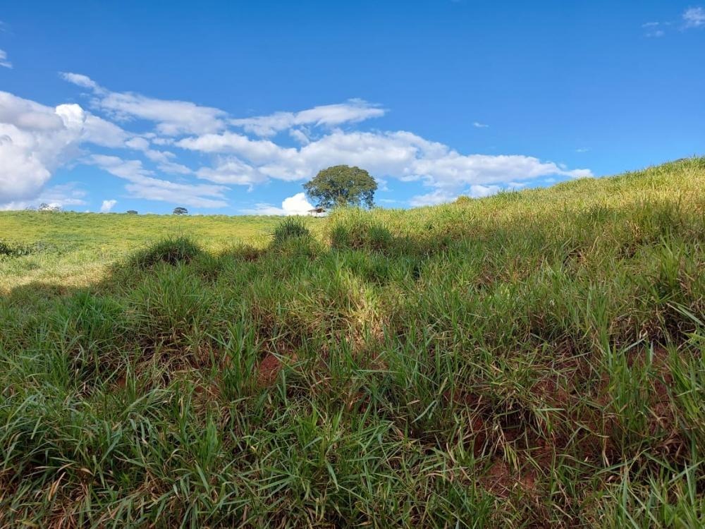 Chácara à venda com 1 quarto, 1450000m² - Foto 14