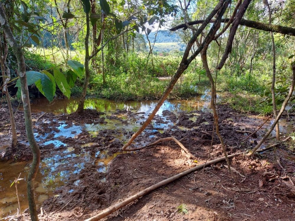 Chácara à venda com 1 quarto, 1450000m² - Foto 17