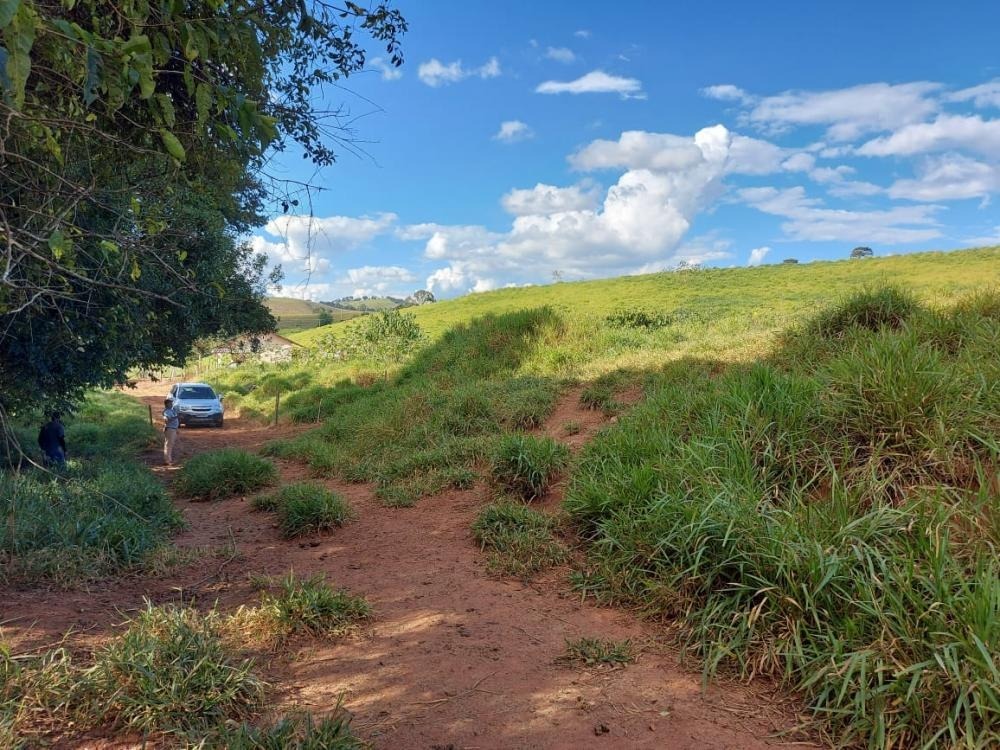 Chácara à venda com 1 quarto, 1450000m² - Foto 19