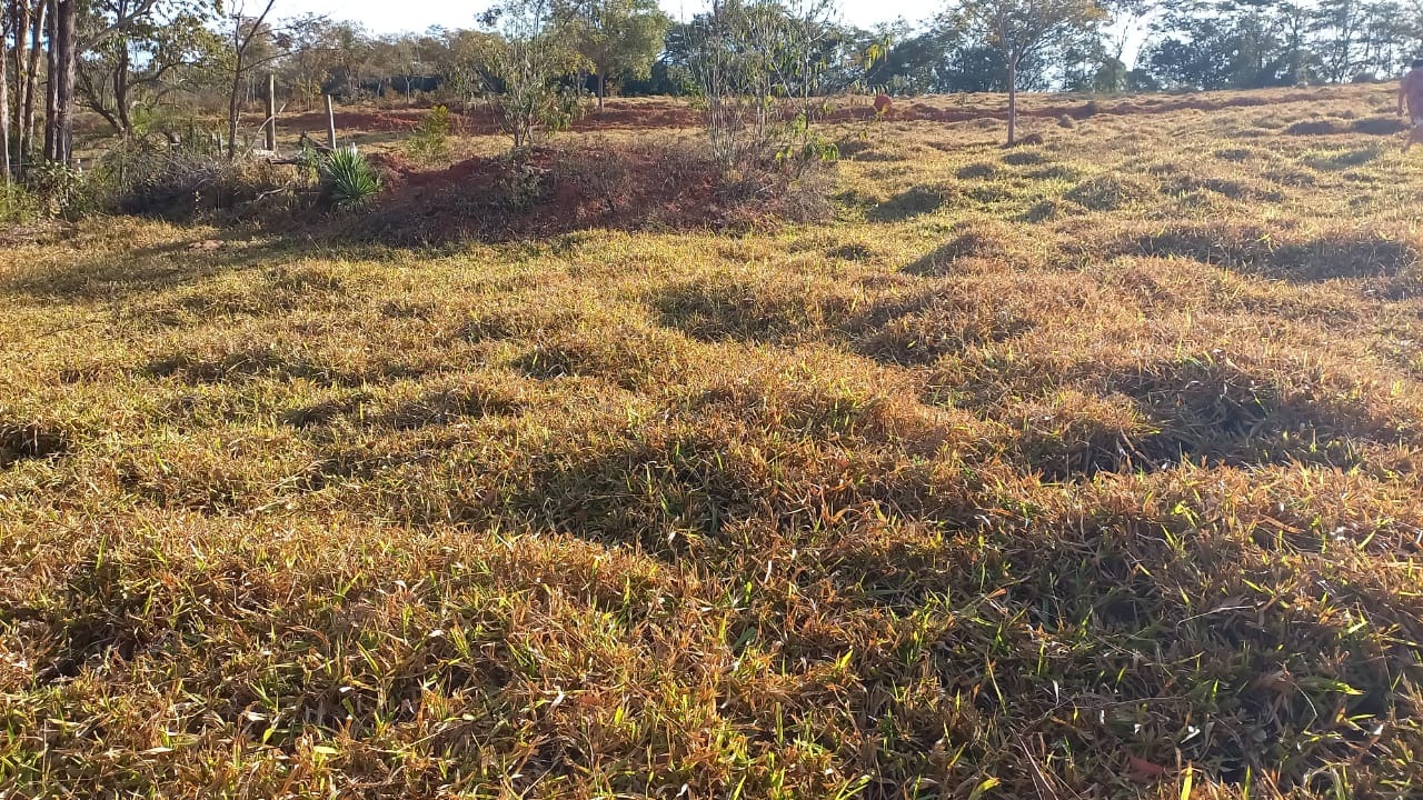 Chácara à venda com 3 quartos, 200000m² - Foto 8