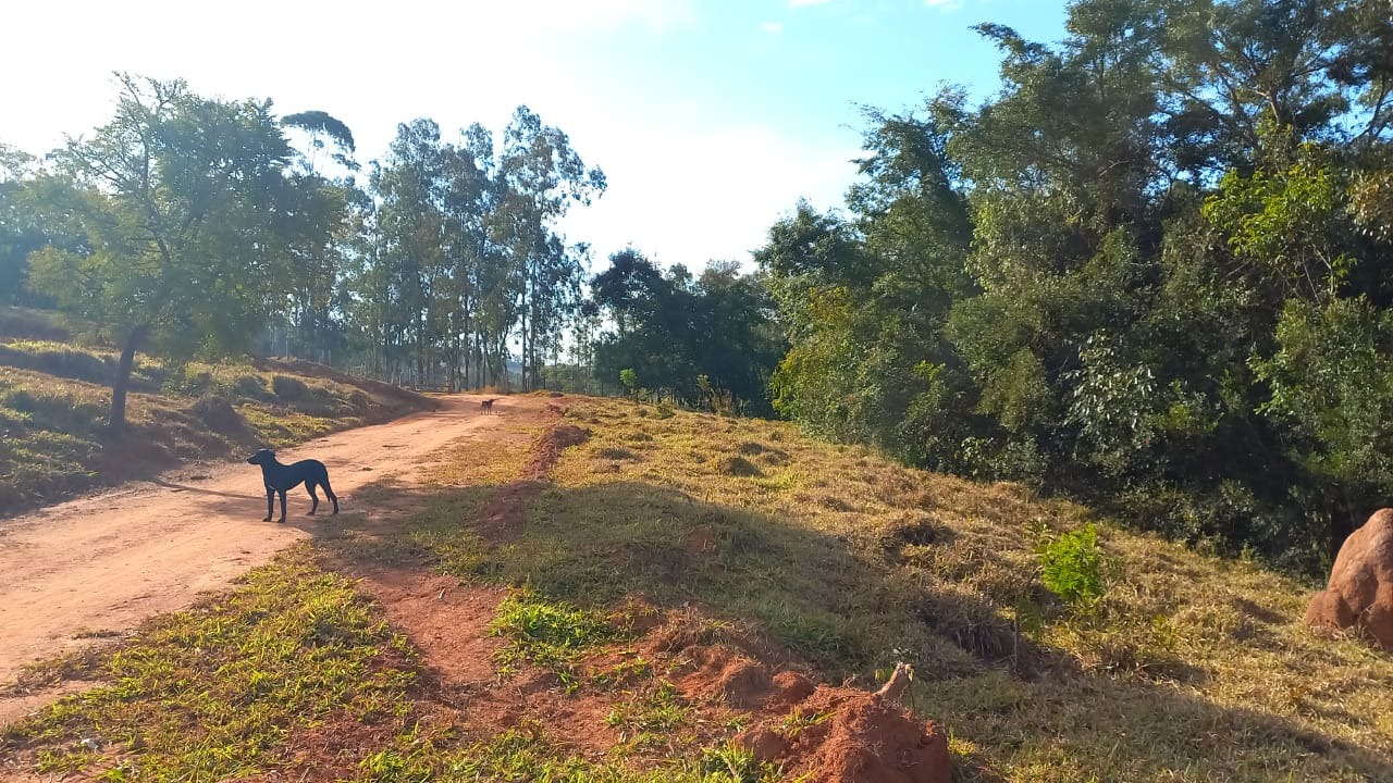 Chácara à venda com 3 quartos, 200000m² - Foto 11