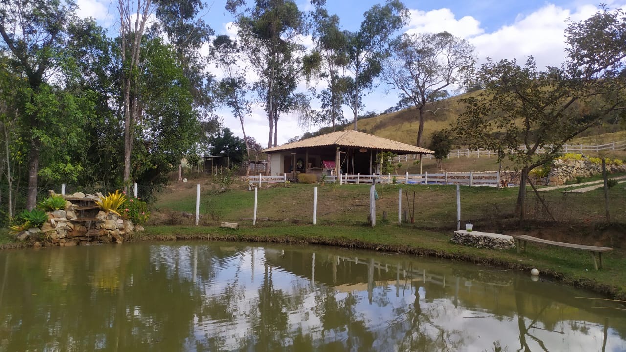 Chácara à venda com 3 quartos, 200000m² - Foto 15