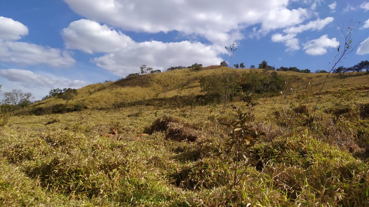 Chácara à venda com 3 quartos, 200000m² - Foto 23