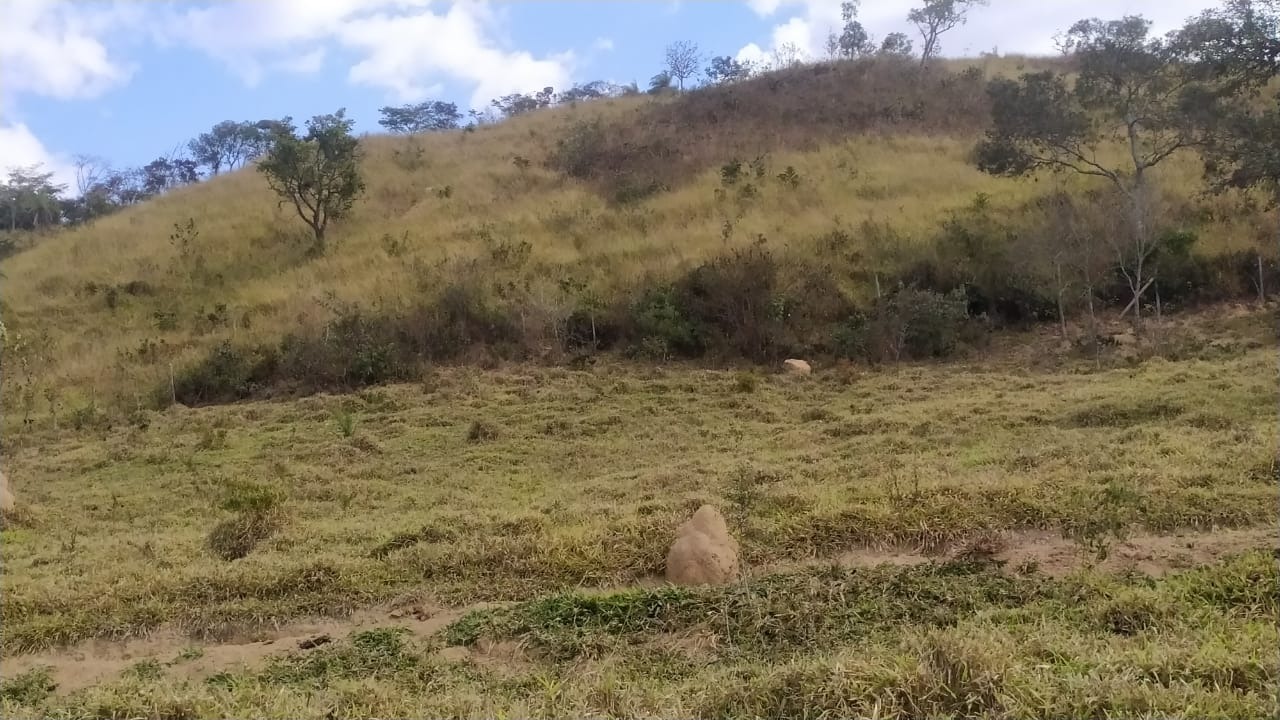 Chácara à venda com 3 quartos, 200000m² - Foto 24