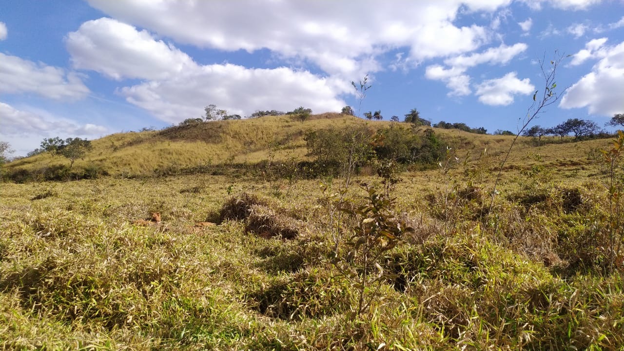 Chácara à venda com 3 quartos, 200000m² - Foto 25