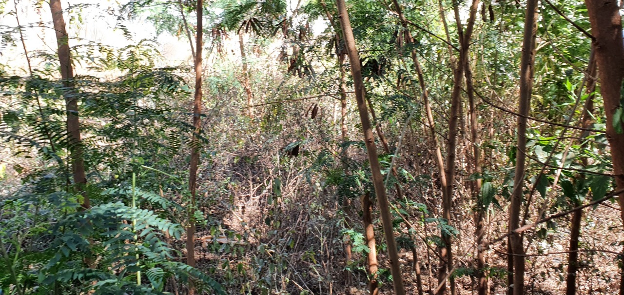 Terreno à venda, 280m² - Foto 5