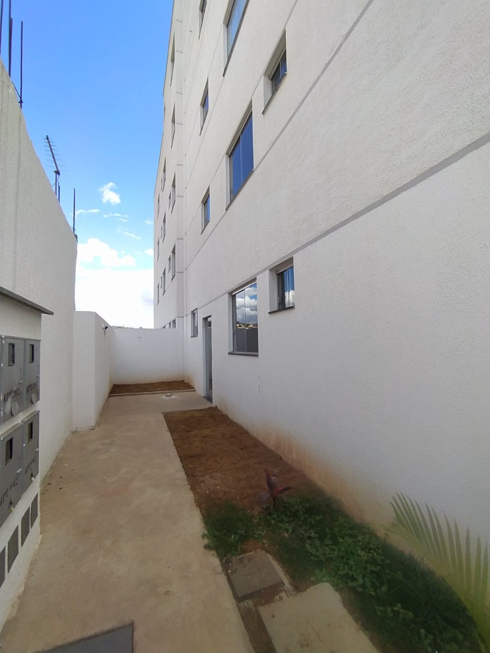 Apartamento à venda com 3 quartos, 65m² - Foto 12