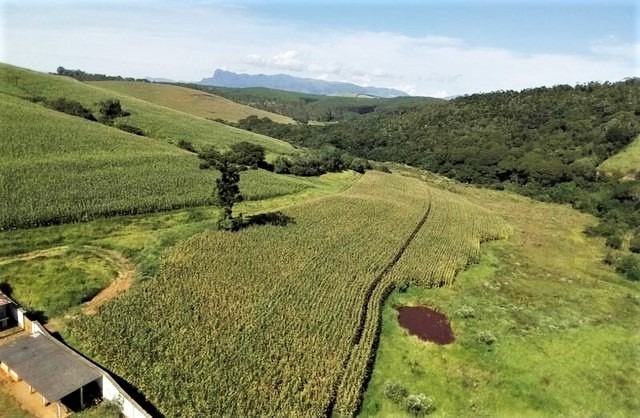 Chácara, 7 quartos, 190 hectares - Foto 1