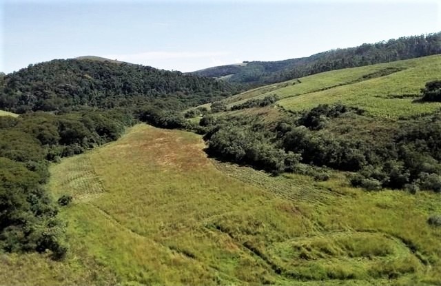 Chácara, 7 quartos, 190 hectares - Foto 2