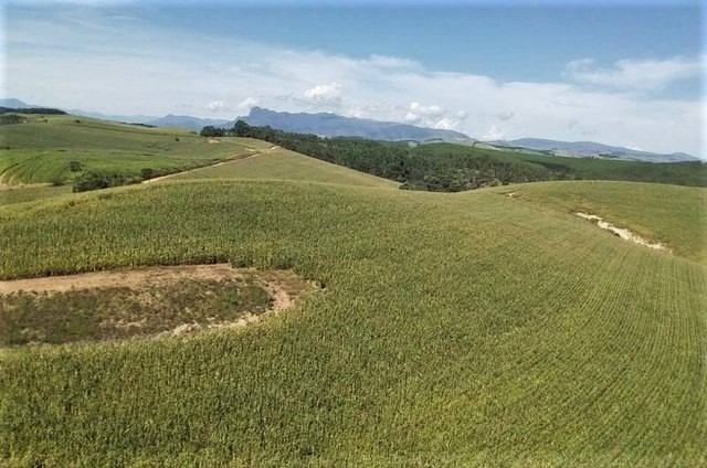 Chácara, 7 quartos, 190 hectares - Foto 4