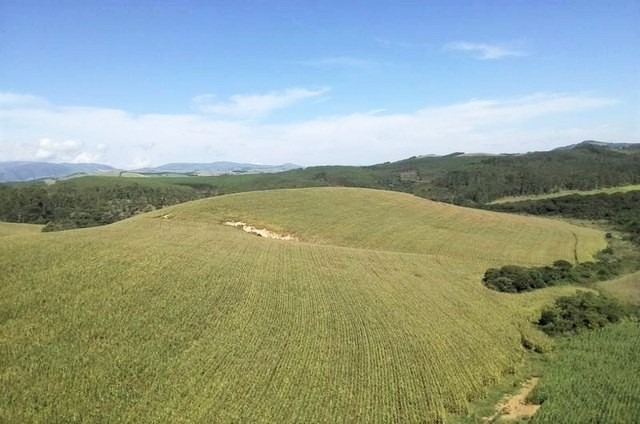 Chácara à venda com 7 quartos, 1900000m² - Foto 5