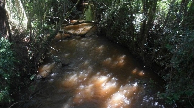 Chácara à venda com 7 quartos, 1900000m² - Foto 10