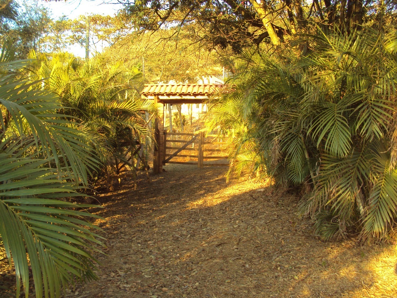 Chácara à venda com 3 quartos, 40000m² - Foto 7