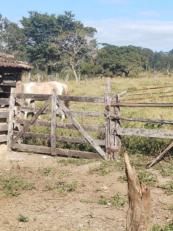 Terreno à venda, 720000m² - Foto 5