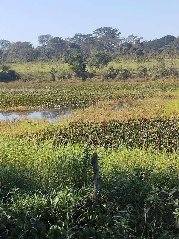 Terreno à venda, 720000m² - Foto 2